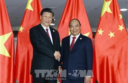 Thủ tướng Nguyễn Xuân Phúc hội kiến với Chủ tịch Trung Quốc Tập Cận Bình 
